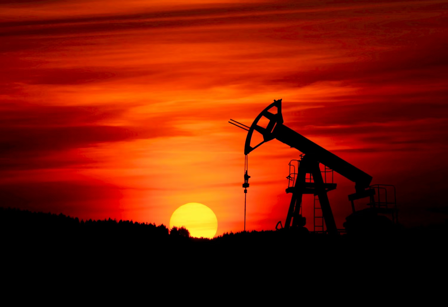 Bonny Crude Additional Image